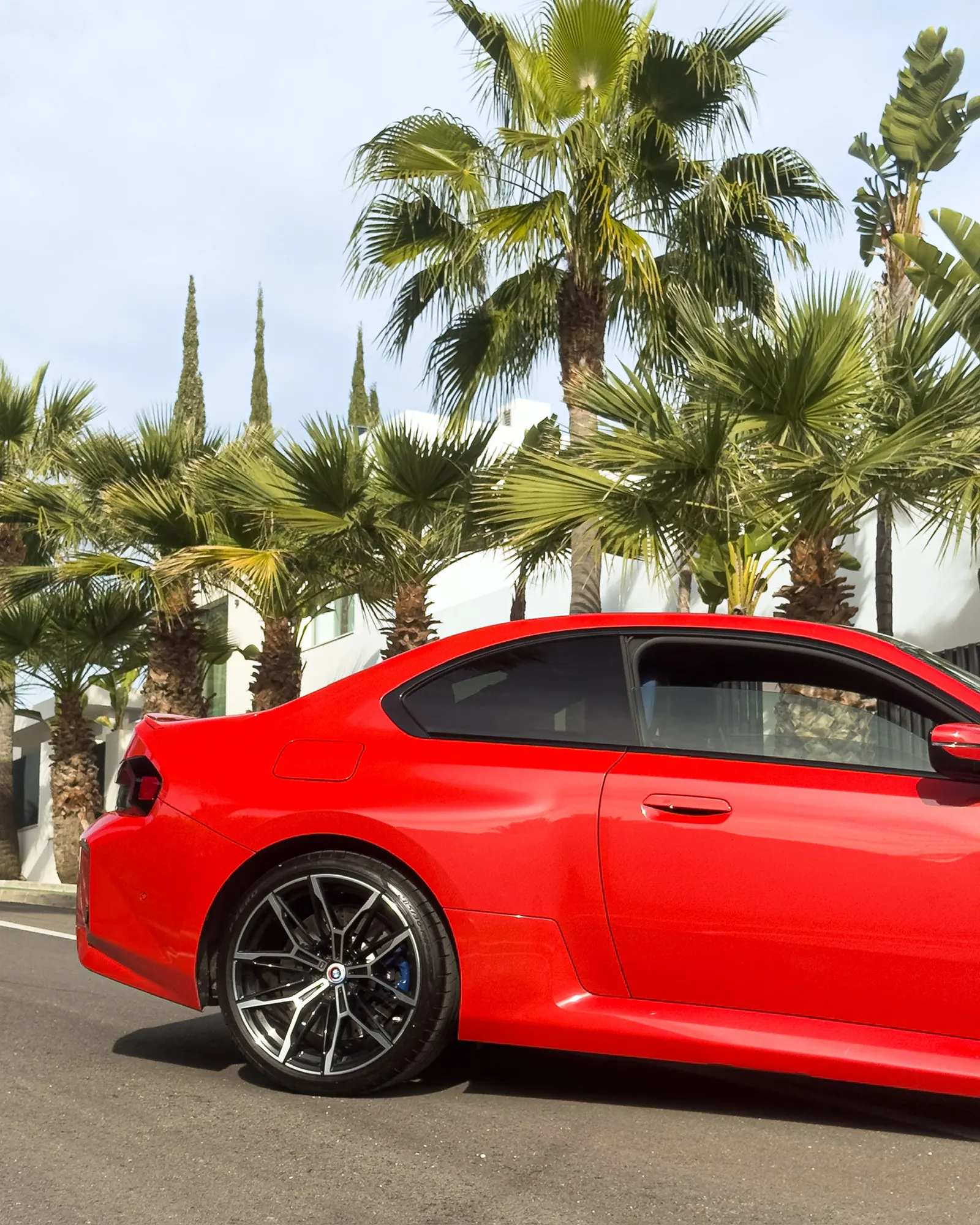 Red BMW M2 G87 side profile with row of Mediterranean palm trees in the background